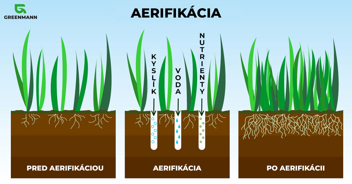 Aerifikácia Greenmann